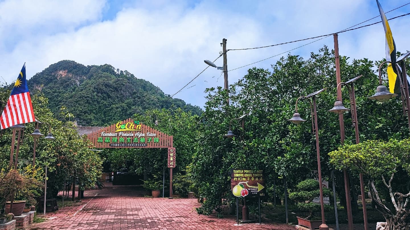 Tambun Pomelo Farms - Image 1