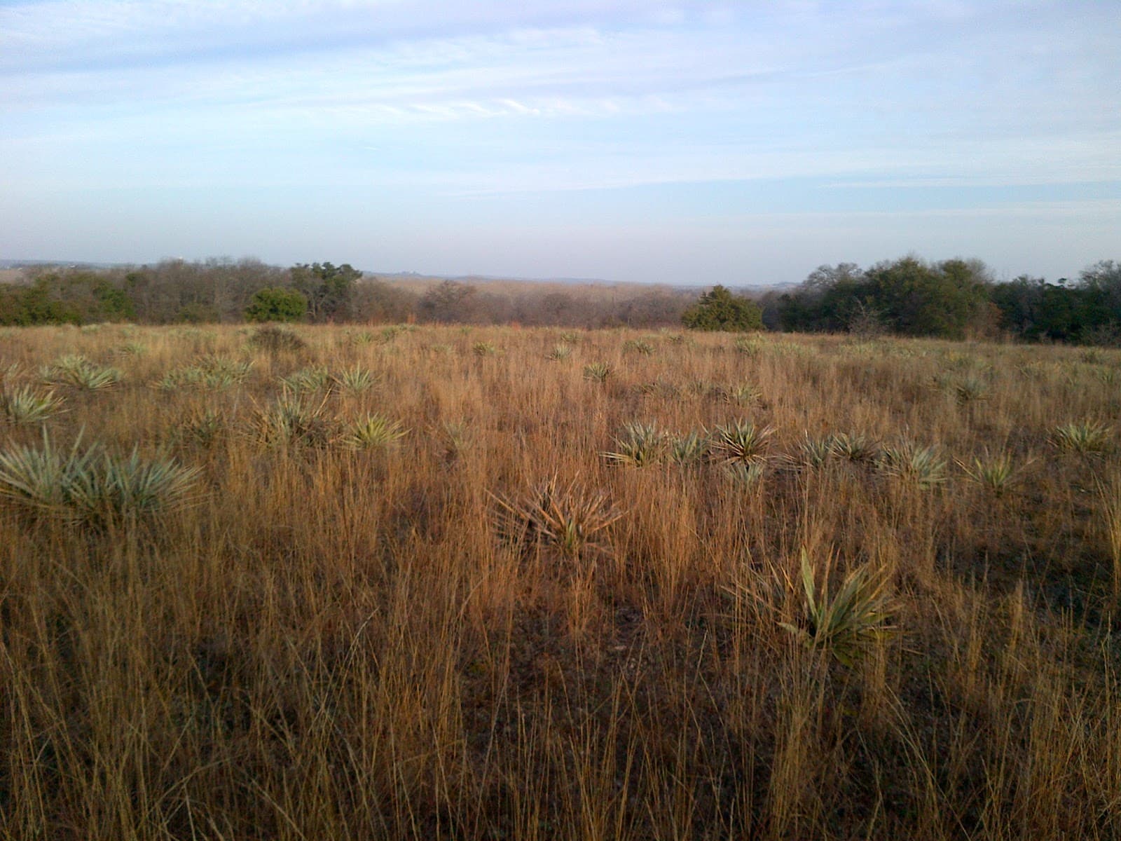 Fort Worth Nature Center and Refuge - Image 1