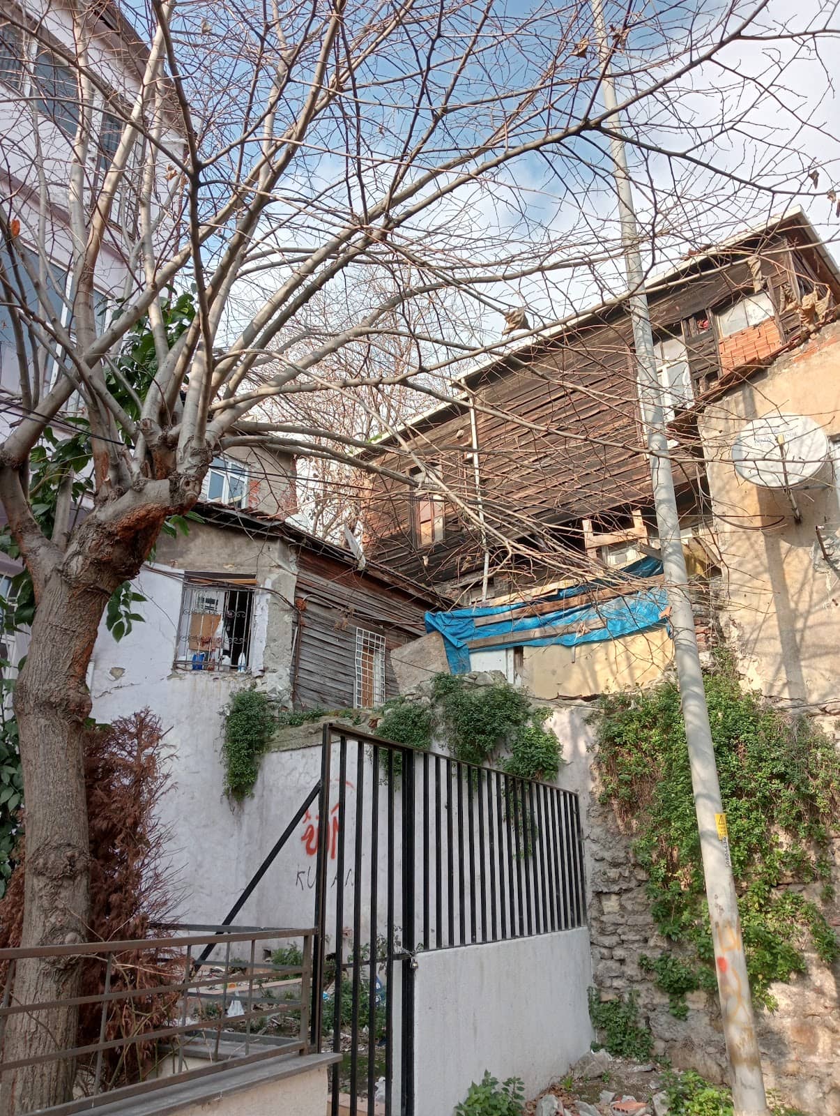 Vertical photo