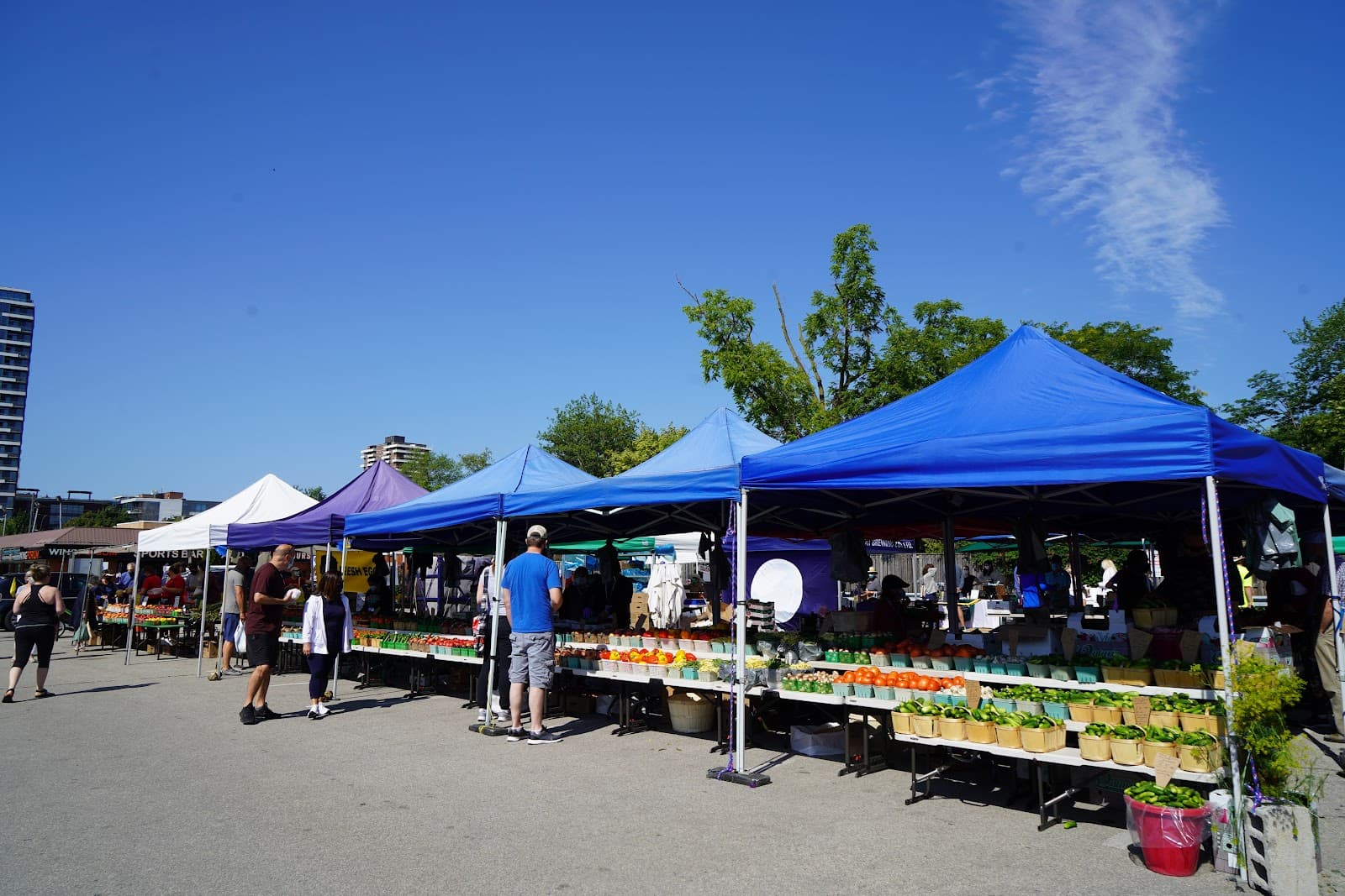 Port Credit Farmers' Market - Image 1
