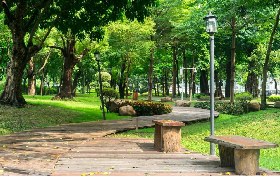 Local Life & Activities