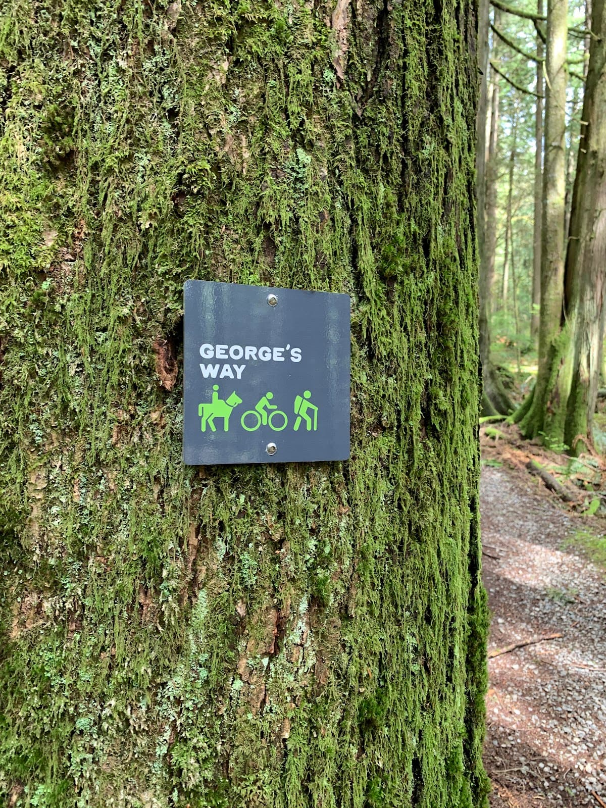 Thornhill Mountain Viewpoint - Image 1