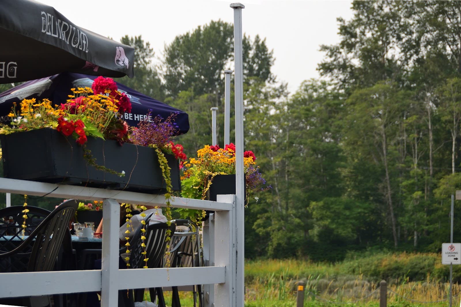 Ladner Village - Image 1