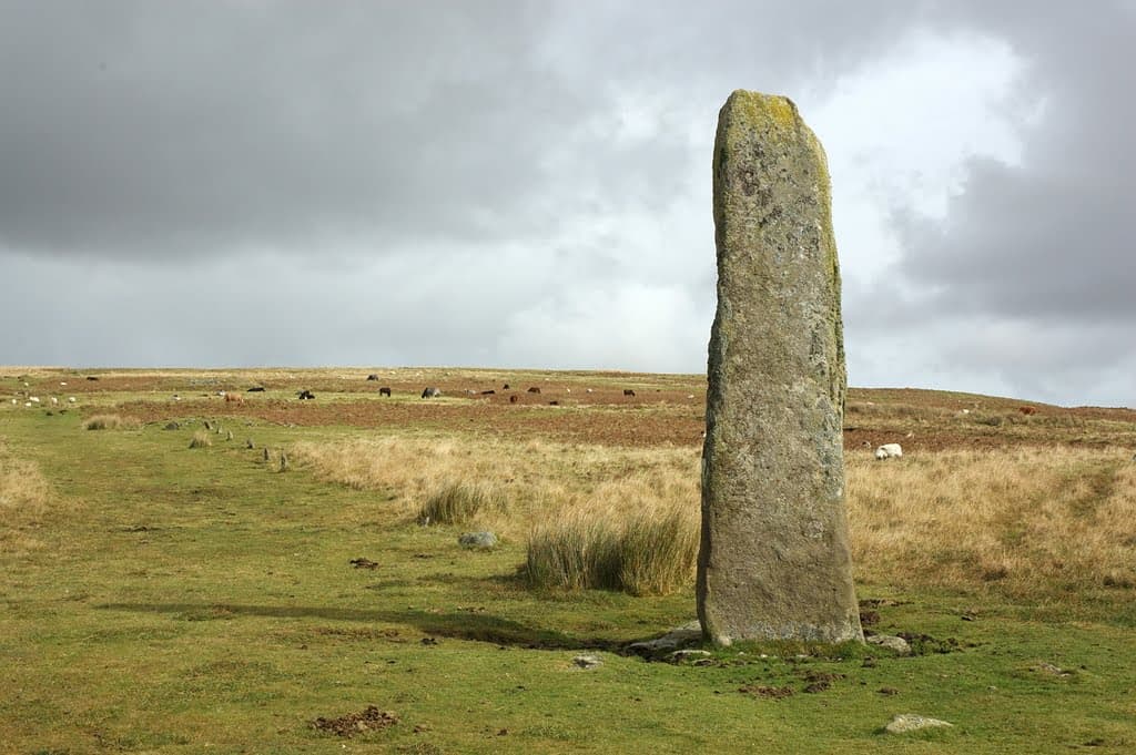 Drizzlecombe Stone Rows - Image 1
