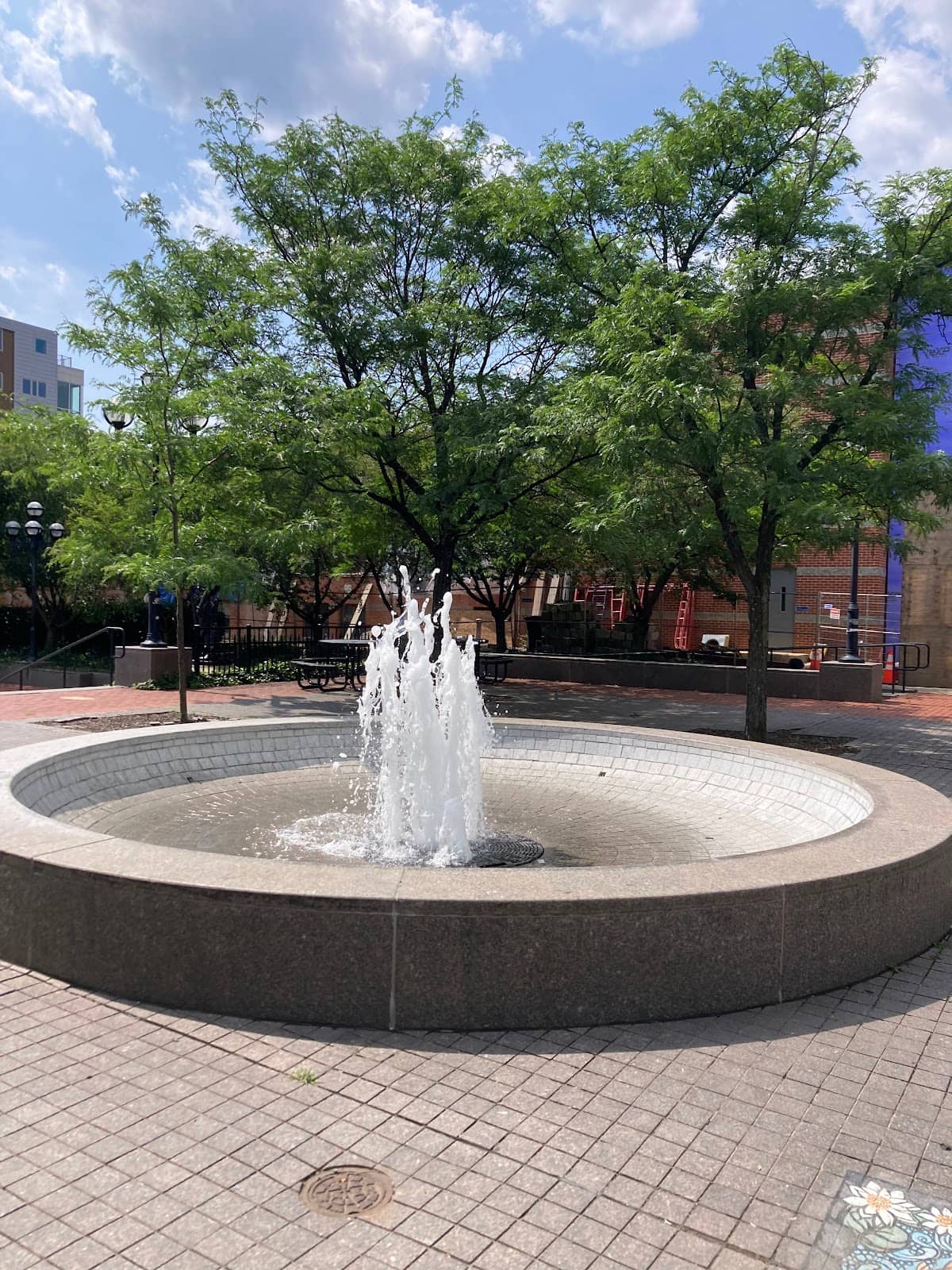 Public Art & Murals