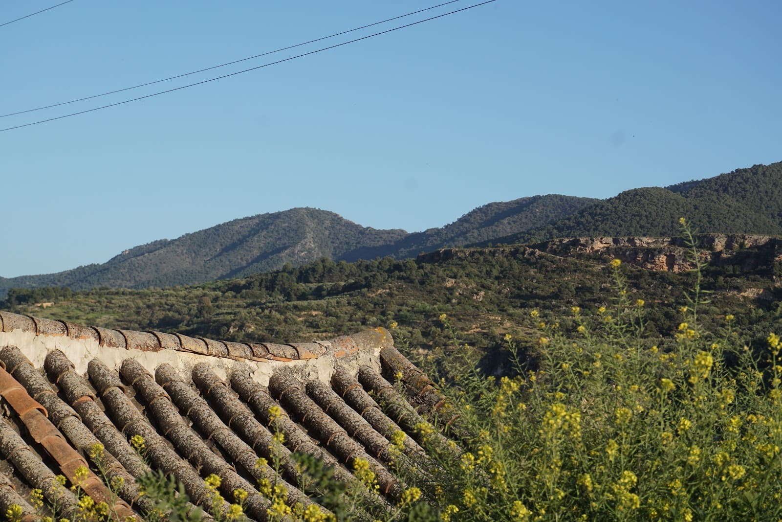 Lecrín Valley - Image 1