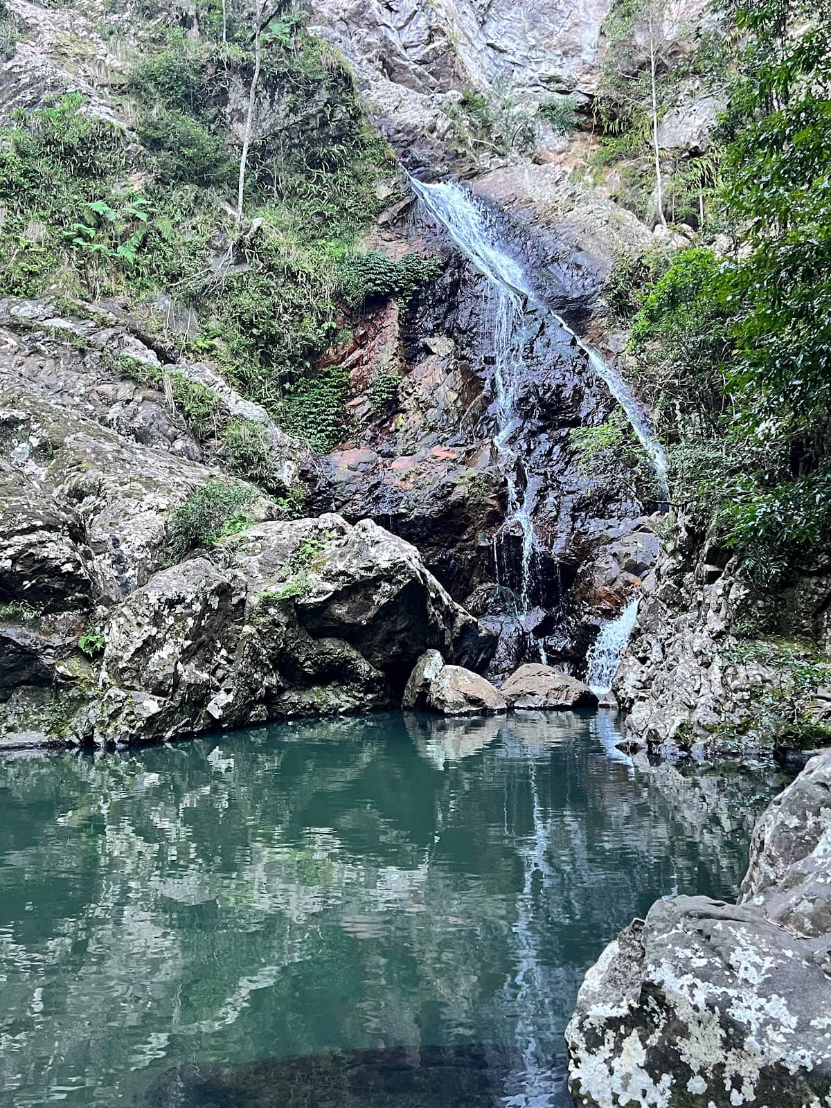 Vertical photo