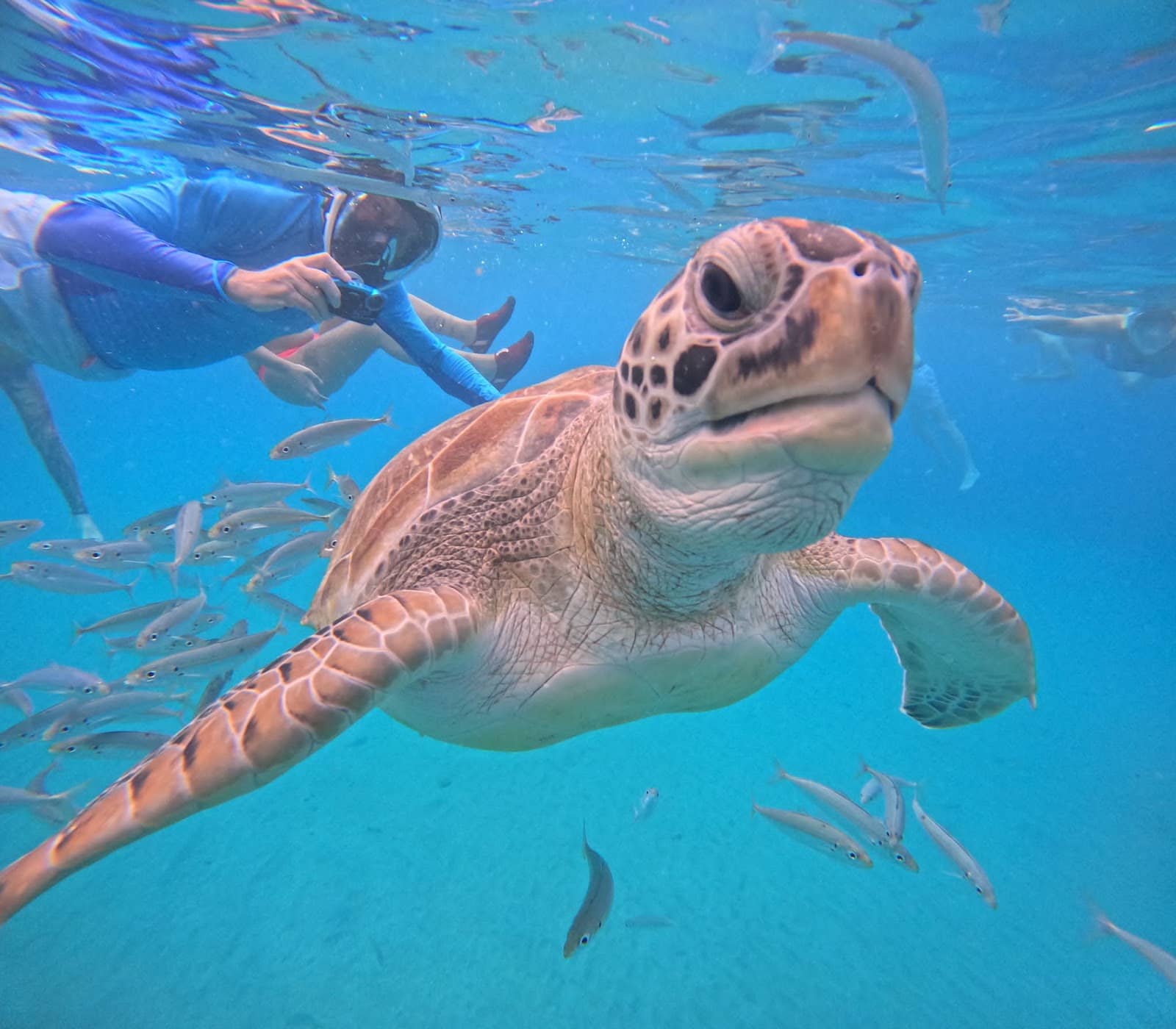 Local Fisherman's Beach Charm