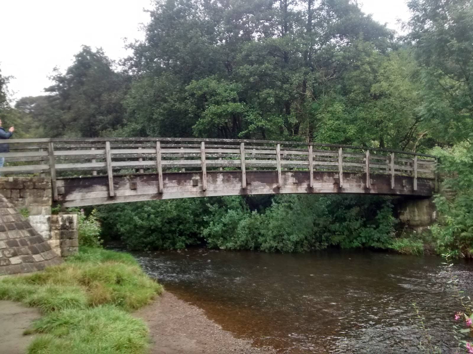 Vertical photo