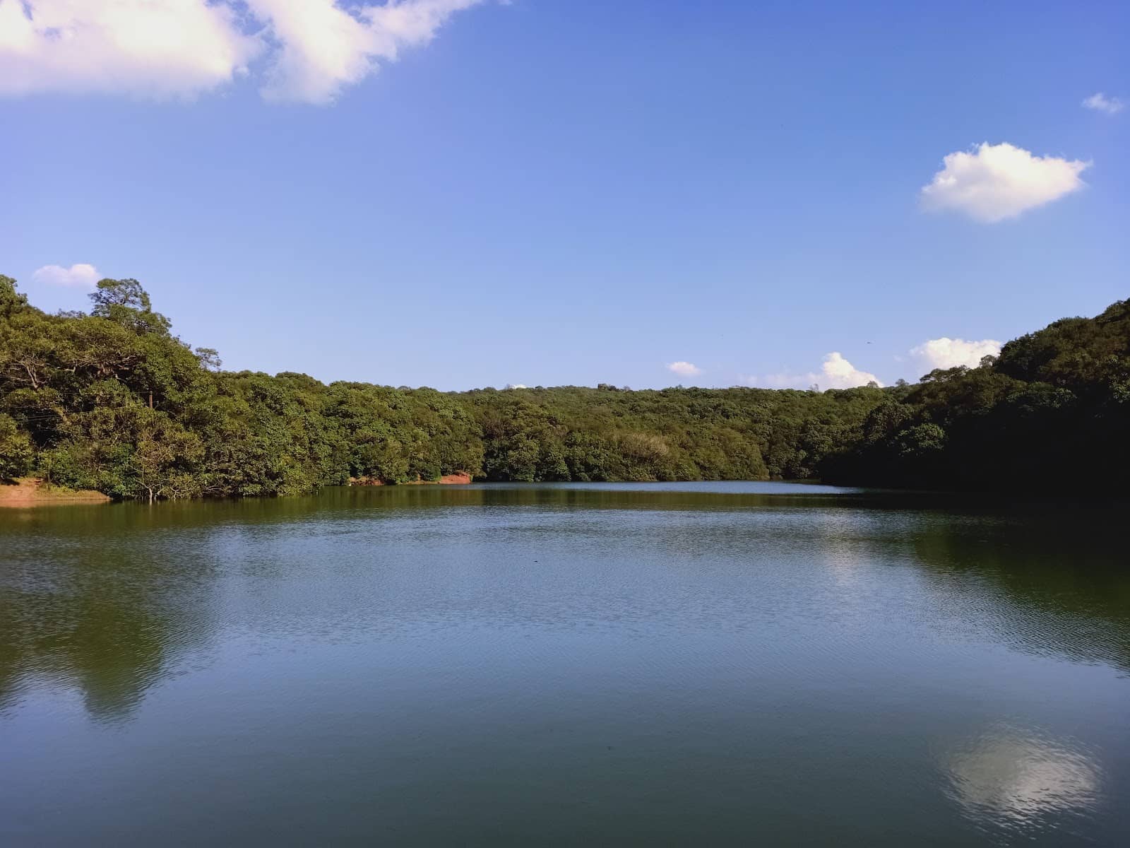Wooded Nature Trails