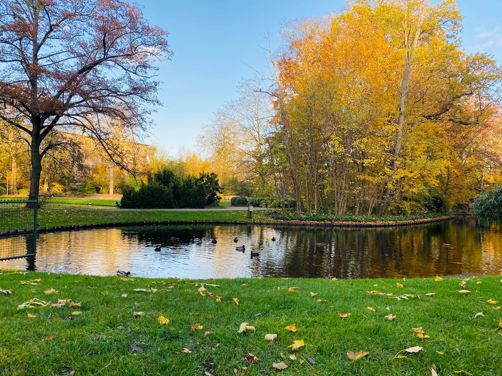 Botanical Garden Kruidtuin - Image 1