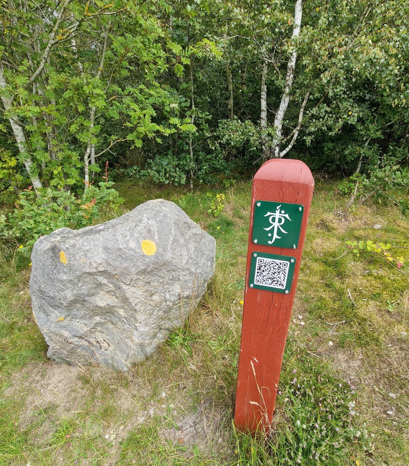 Vertical photo