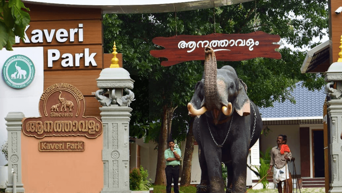 Puthenkulam Elephant Village - Image 1