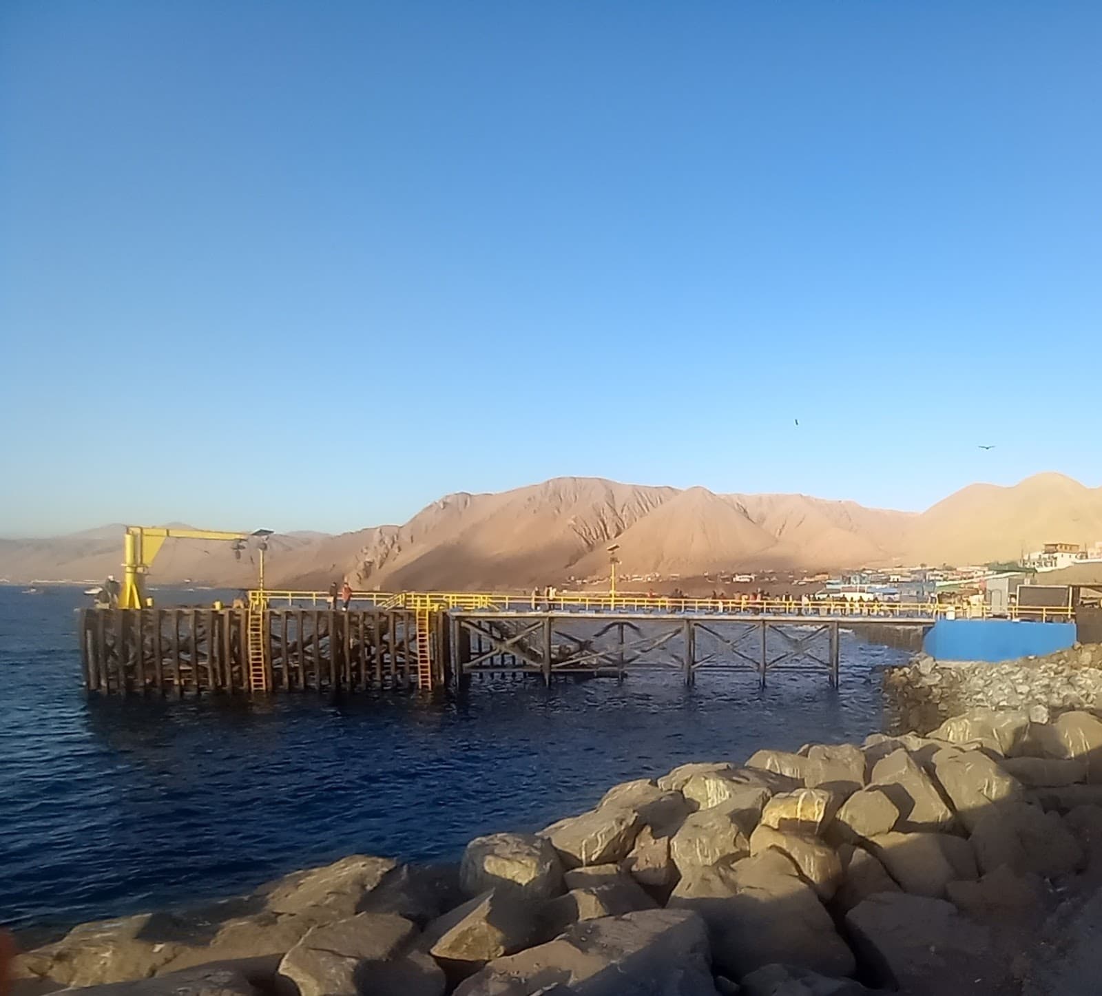 Caleta Coloso - Image 1