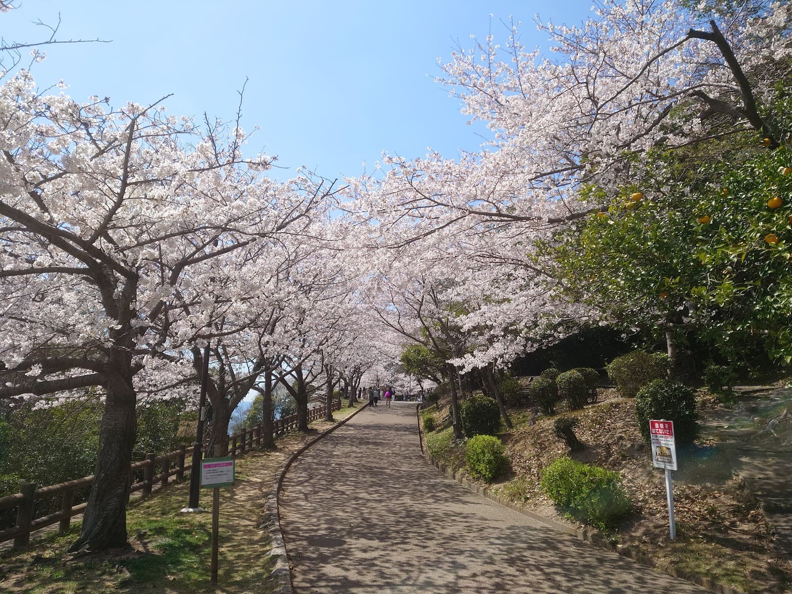 Sumaura Park - Image 1