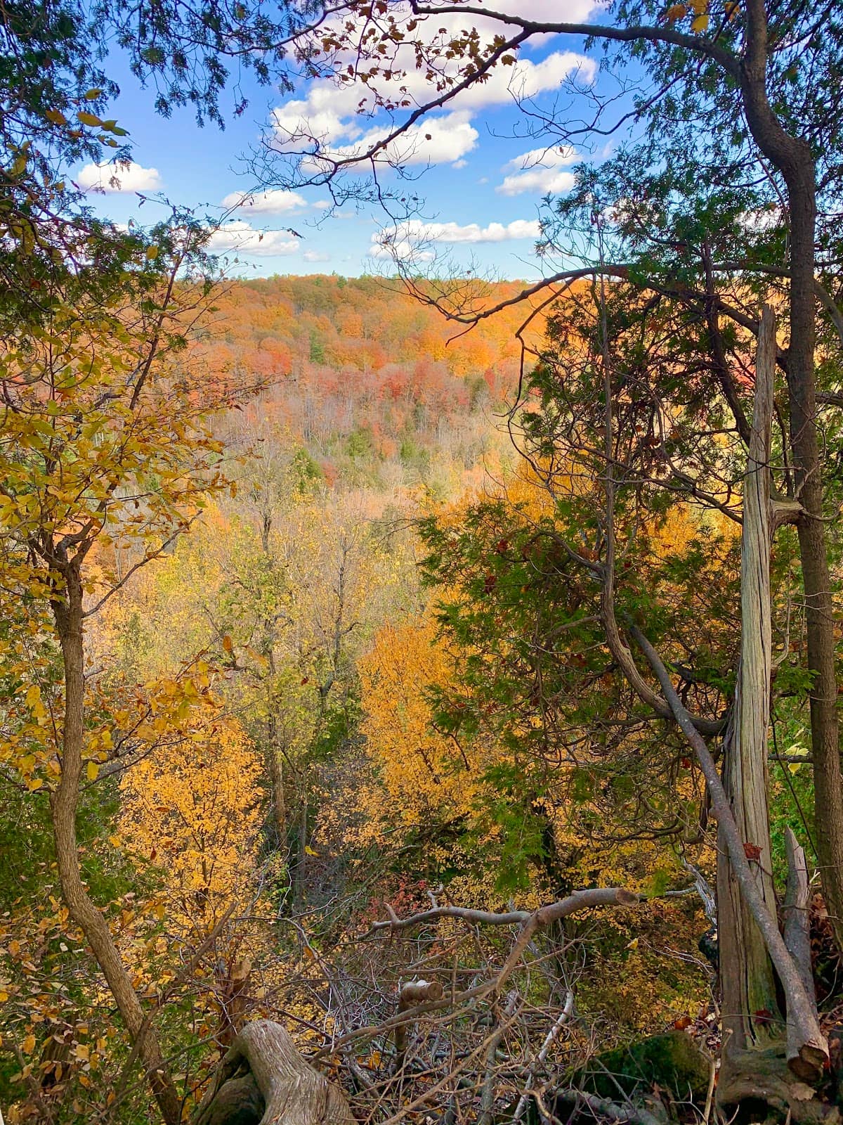 Rattlesnake Point Escarpment