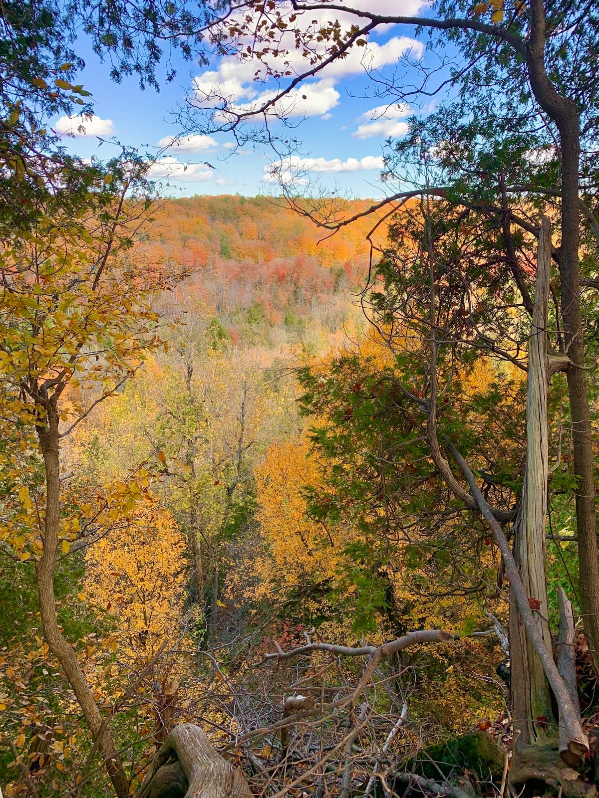 Nassagaweya Canyon - Image 1