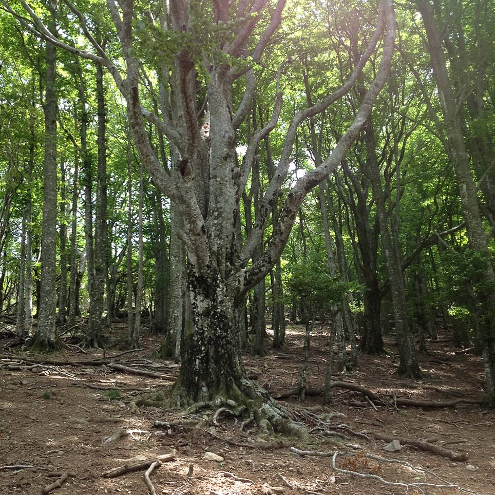 Vertical photo