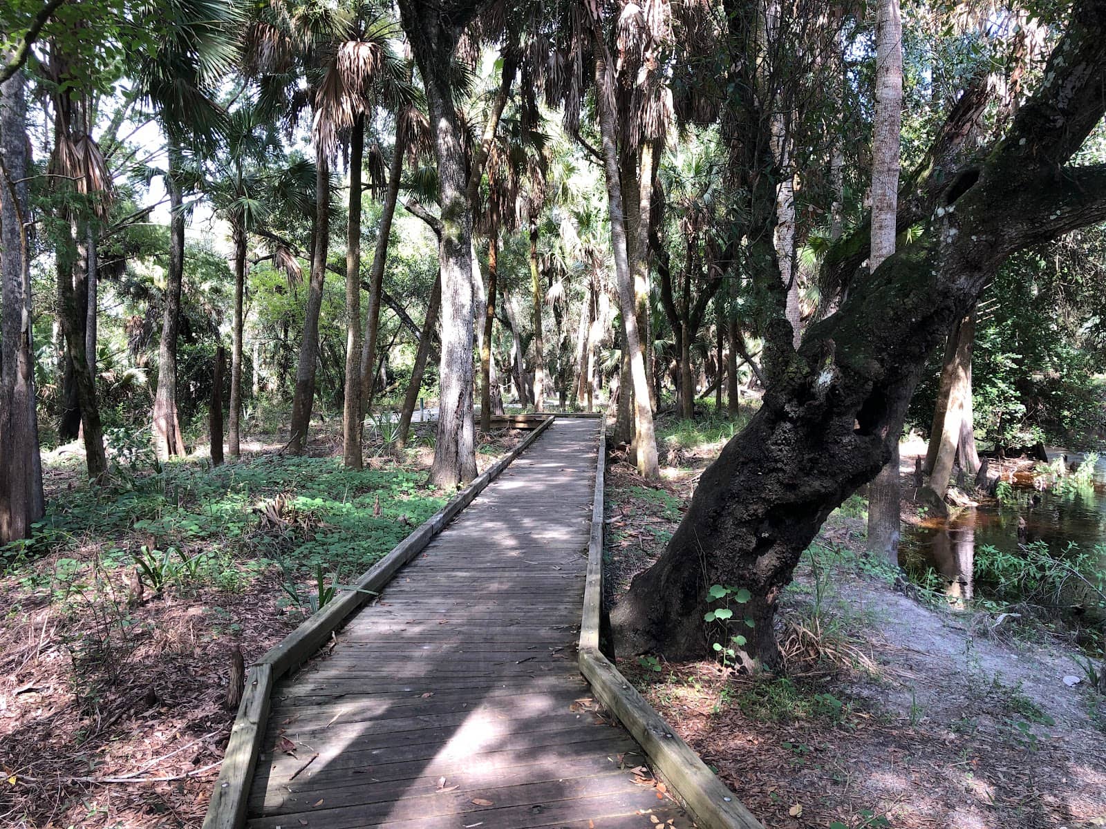 Imperial River Trails