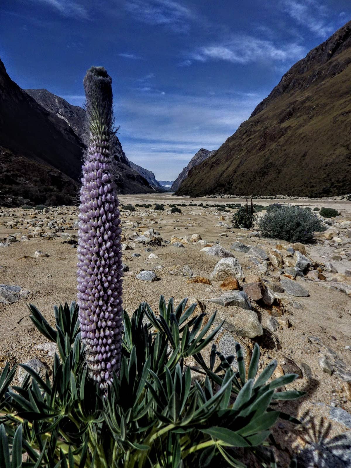 Cordillera Blanca Scenery