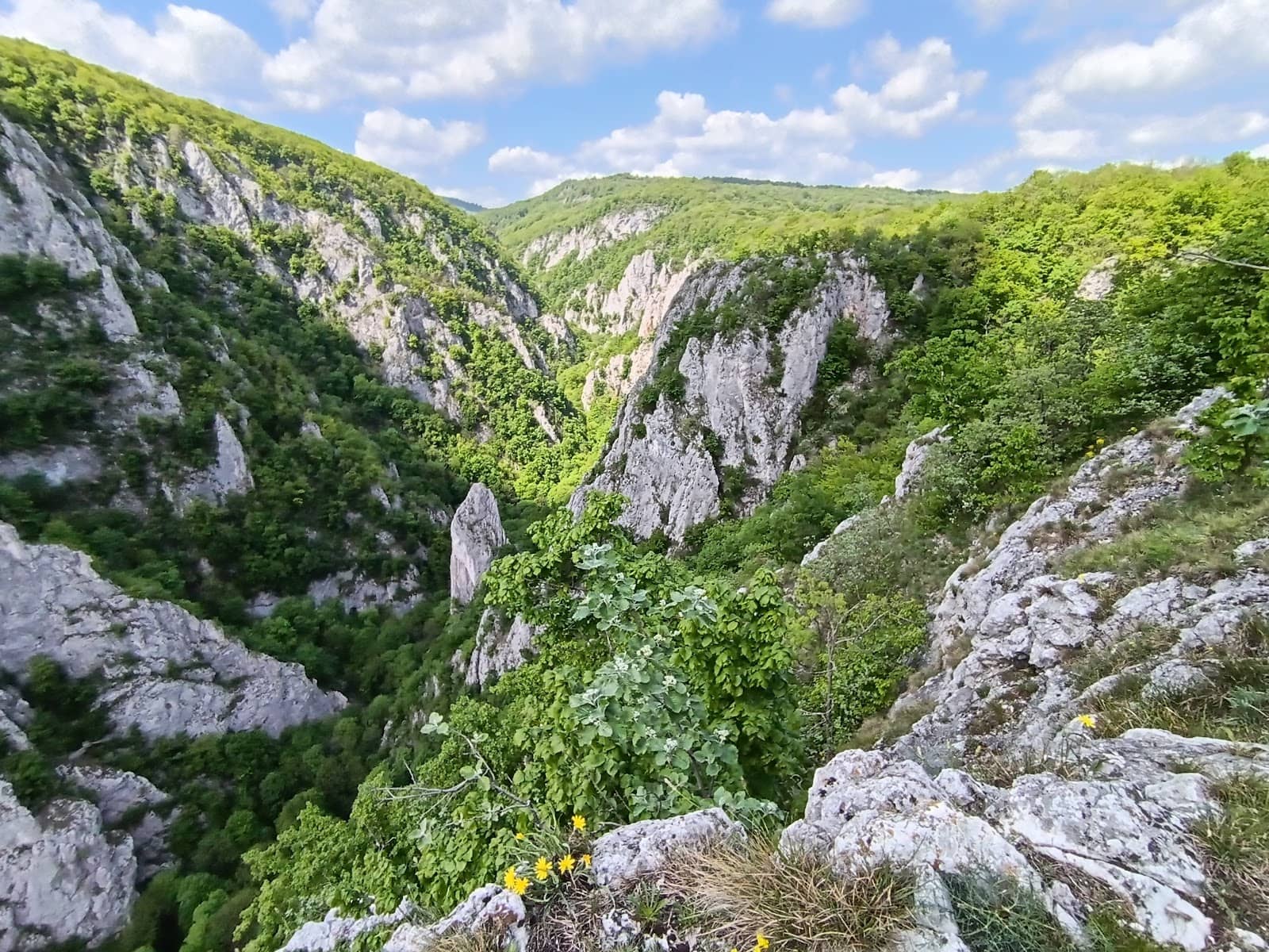 Diverse Hiking Trails