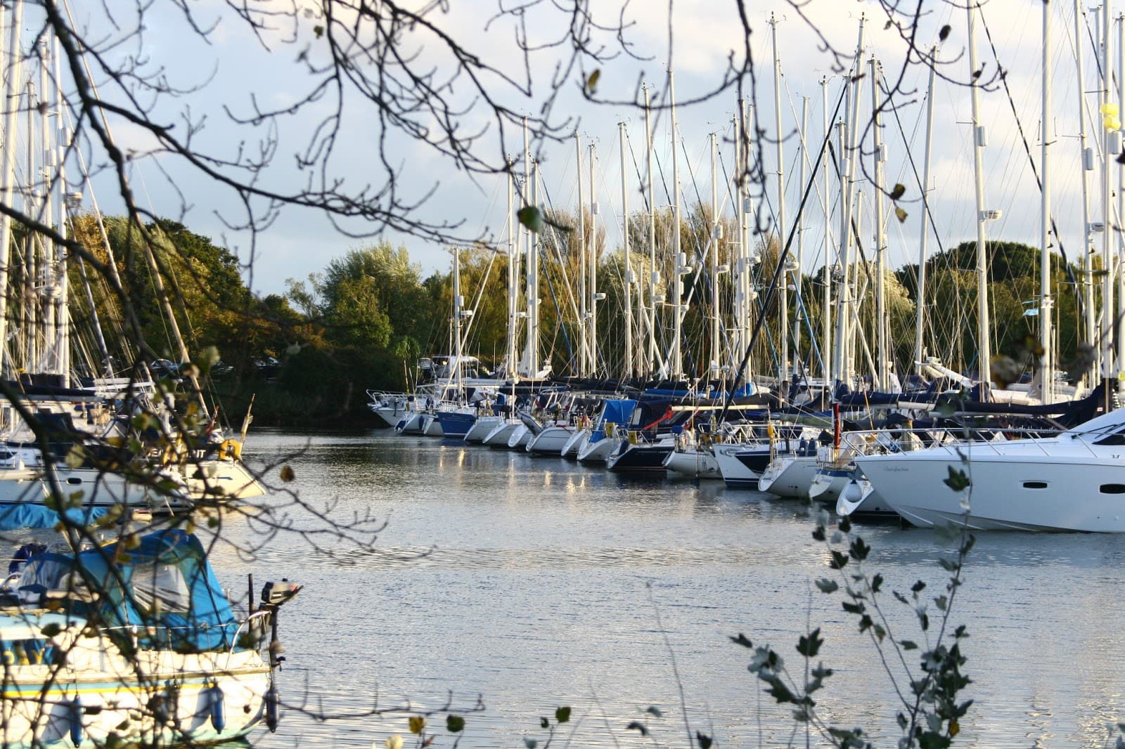 Chichester Marina - Image 1