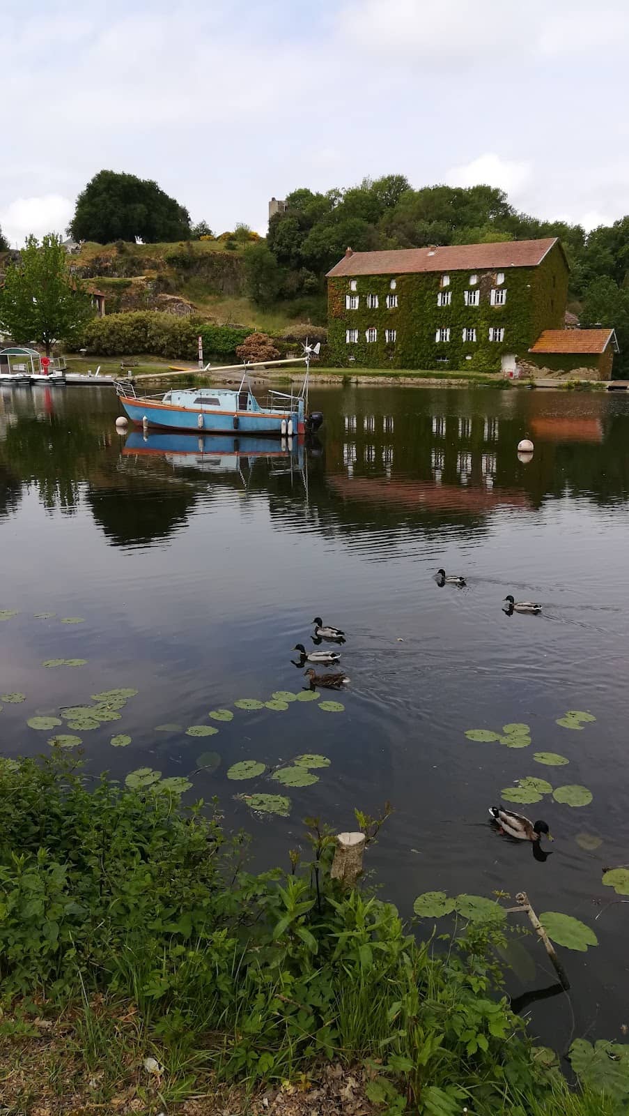 Timeless Reflections