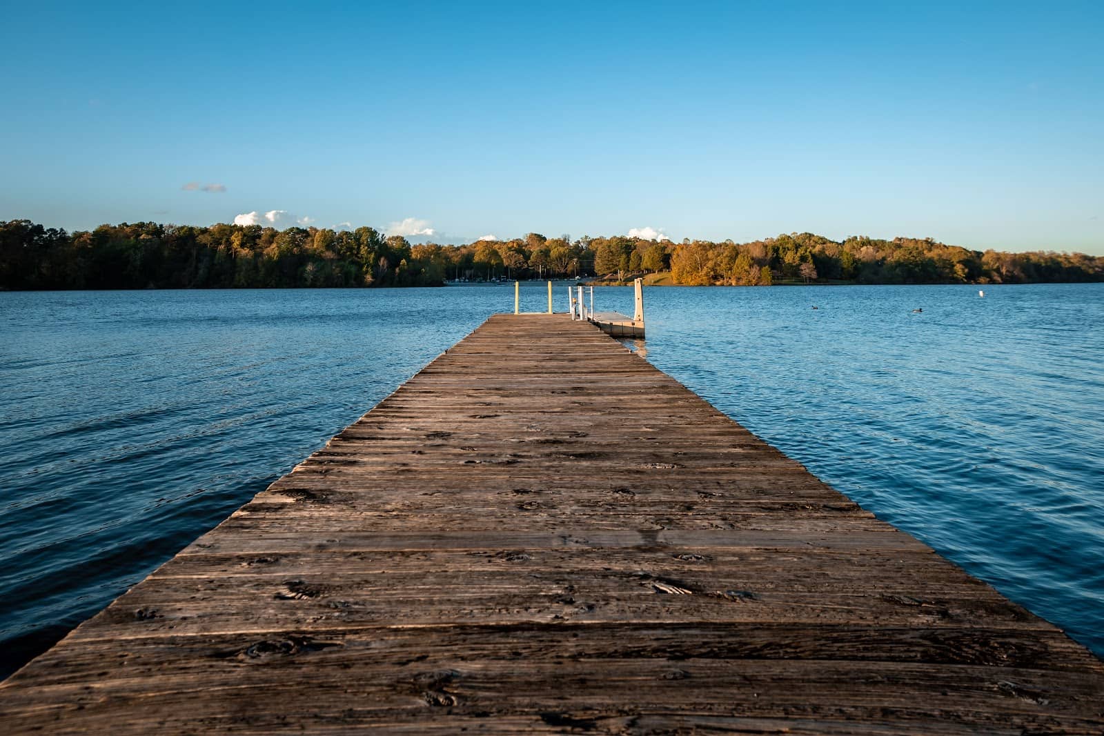 Picnic & Birdwatching