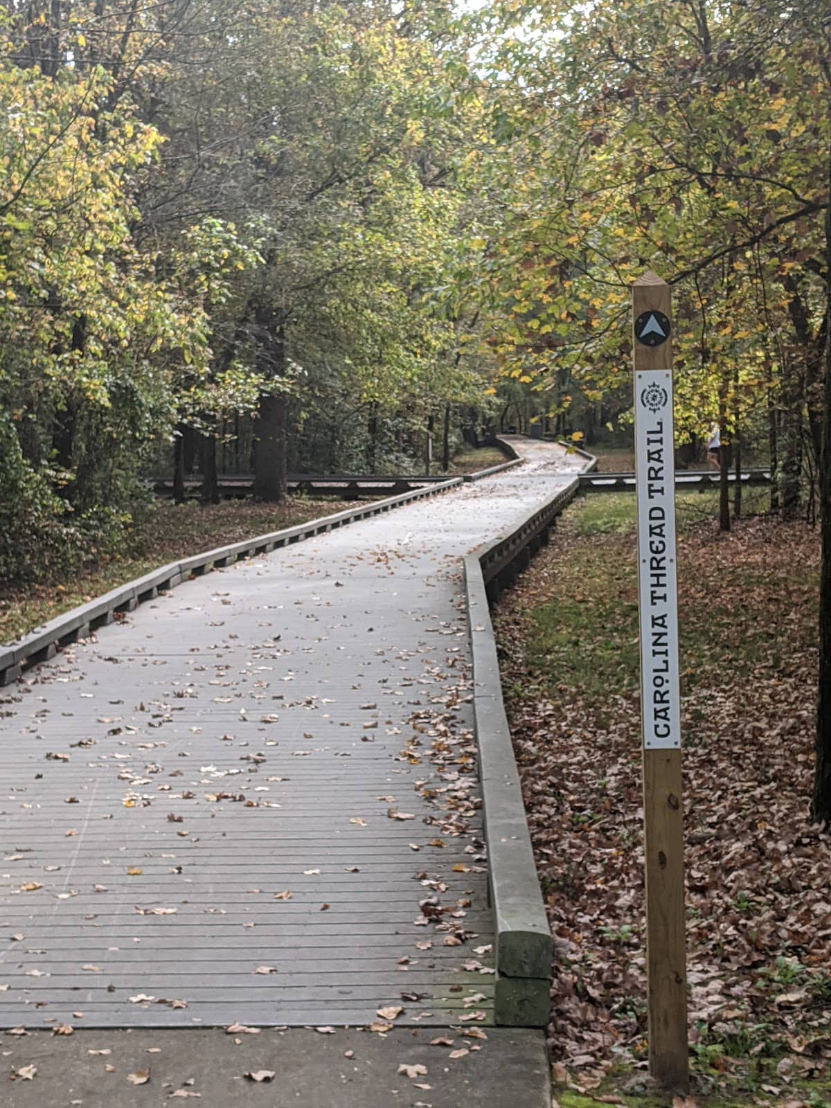 Wooded Trails
