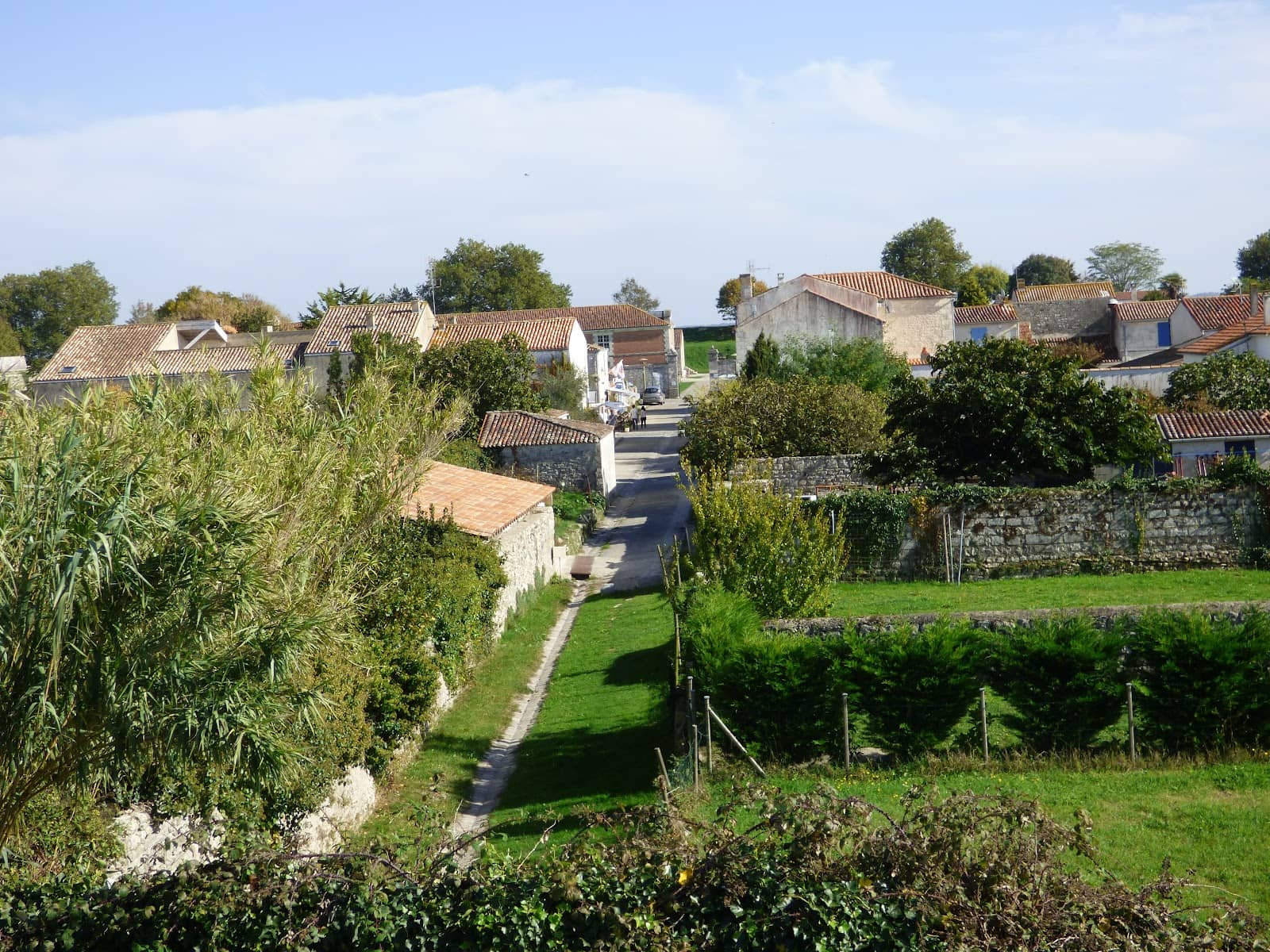 Vertical photo