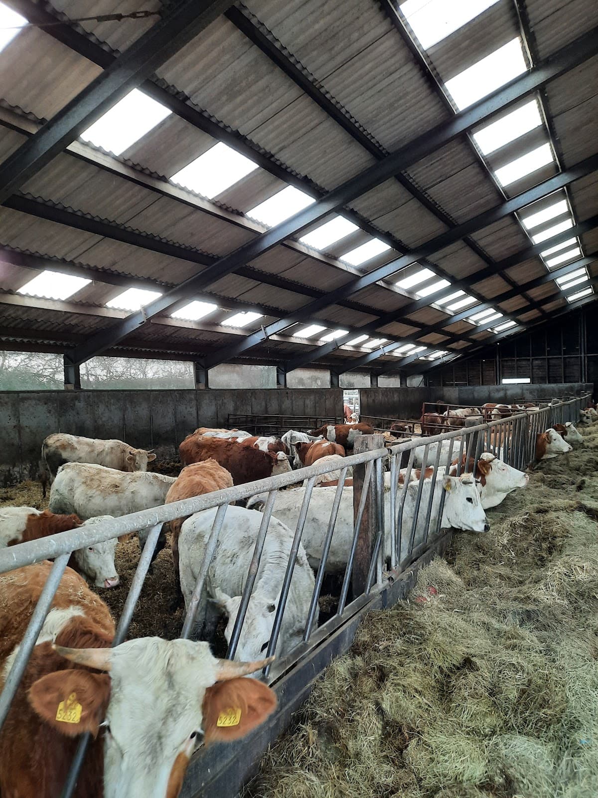 De Kemphaan Organic Market - Image 1