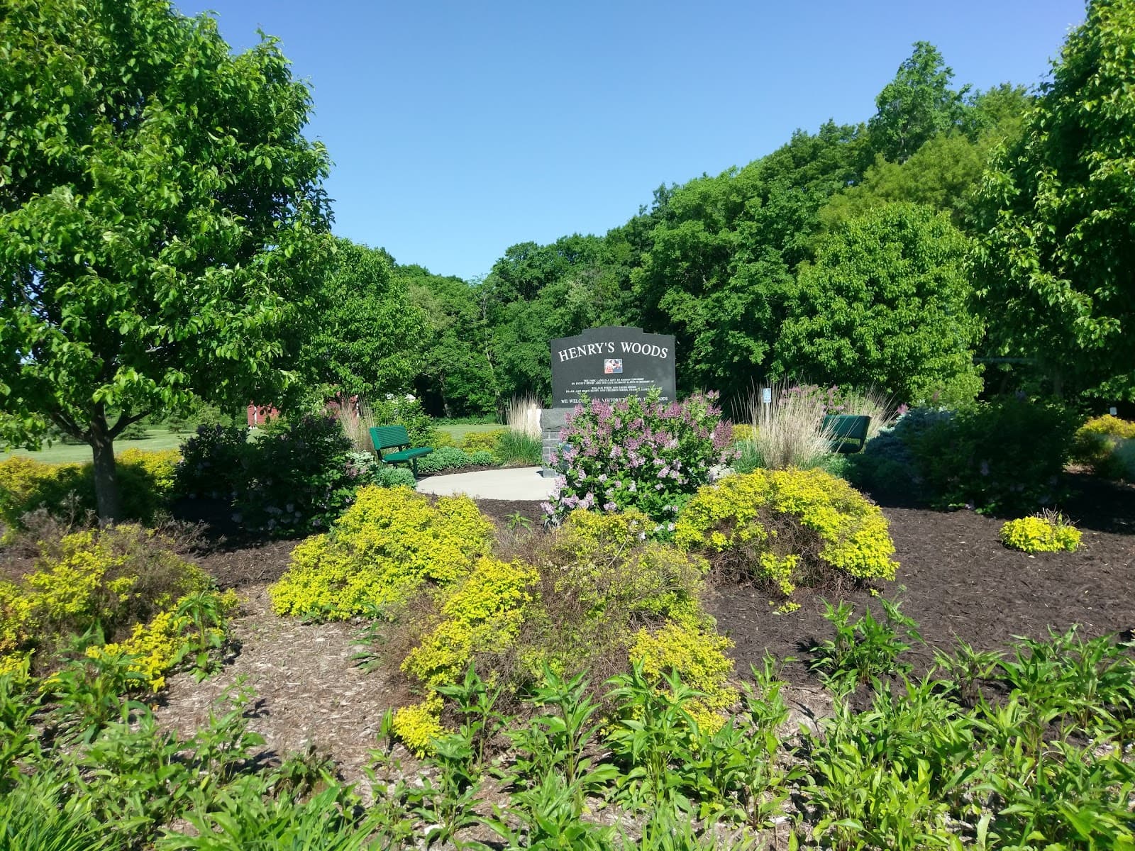 Henry's Woods Park - Image 1