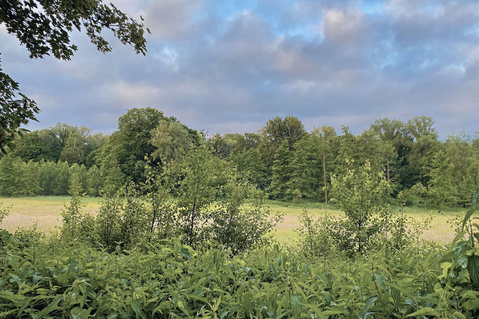 Marais de Jette-Ganshoren - Image 1