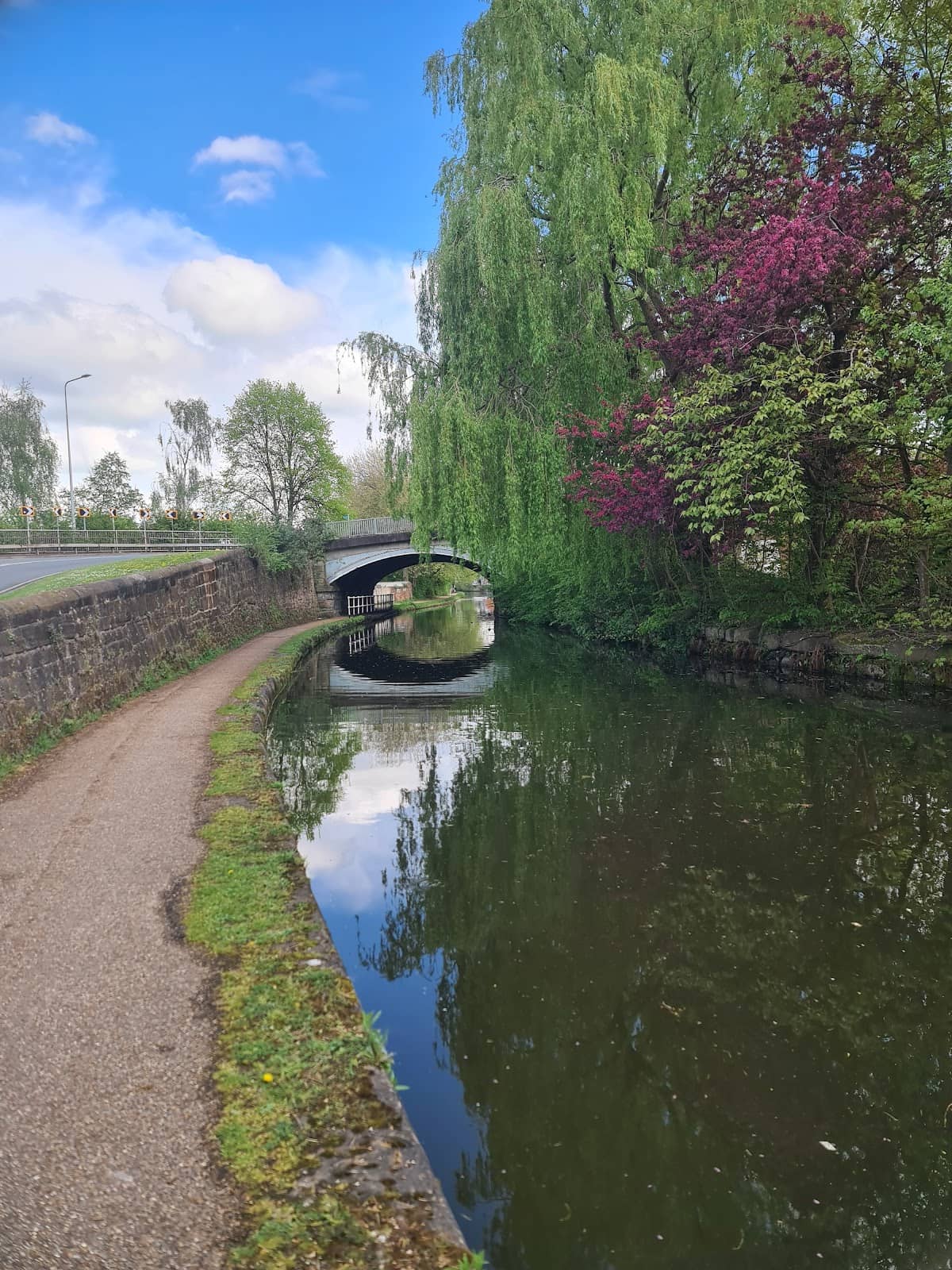 Peaceful Canal Walks