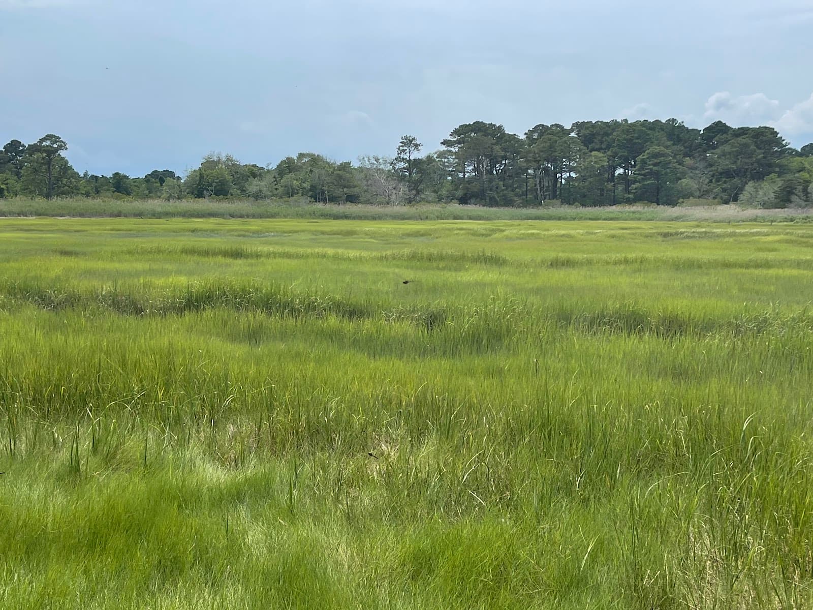 Burton Island Nature Preserve - Image 1