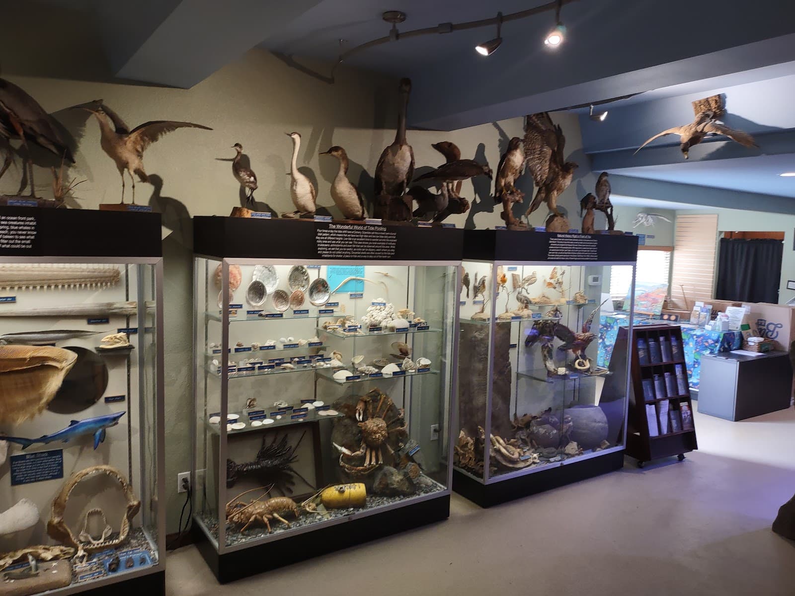 Dana Point Tide Pools - Image 1