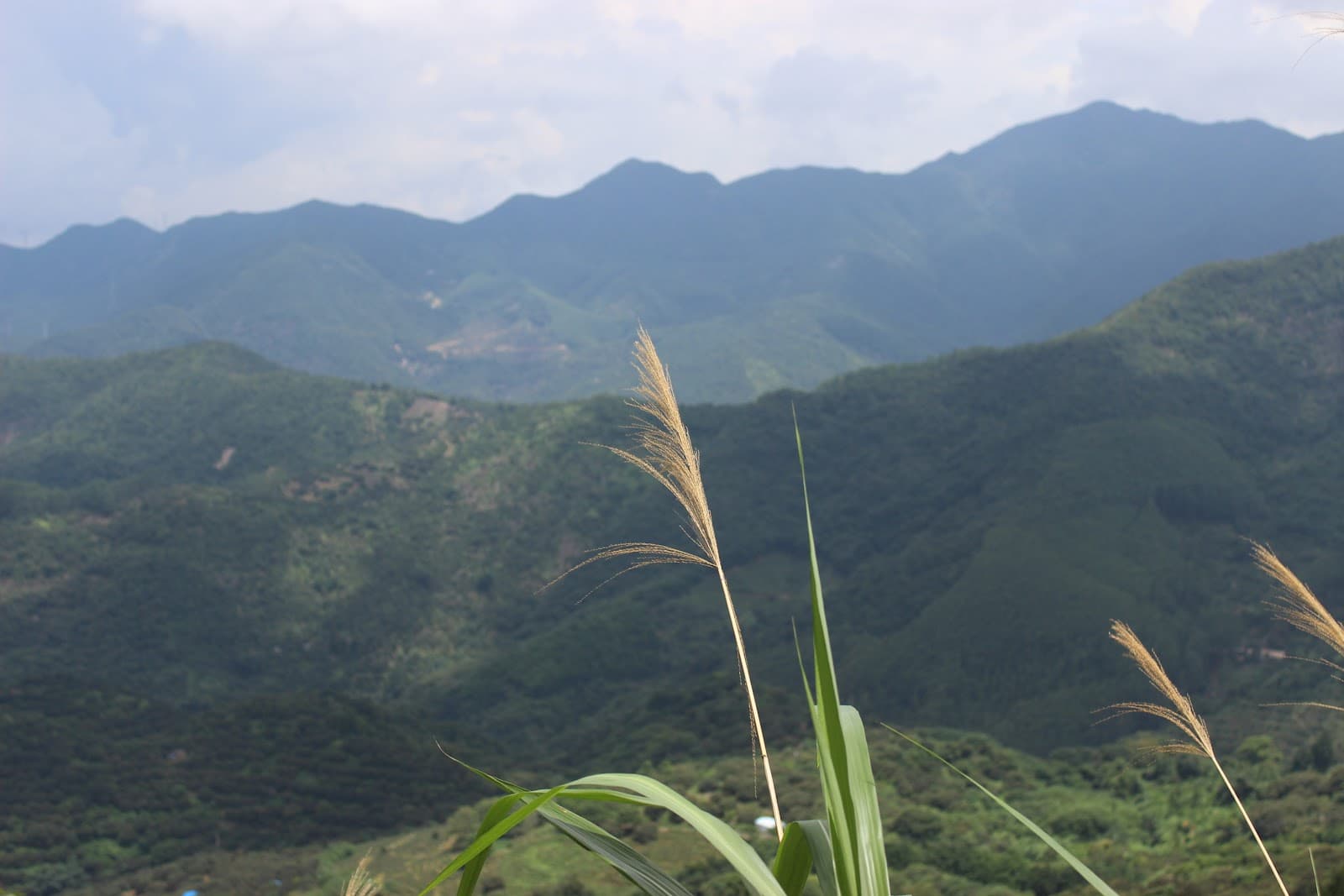 Shimen National Forest Park - Image 1