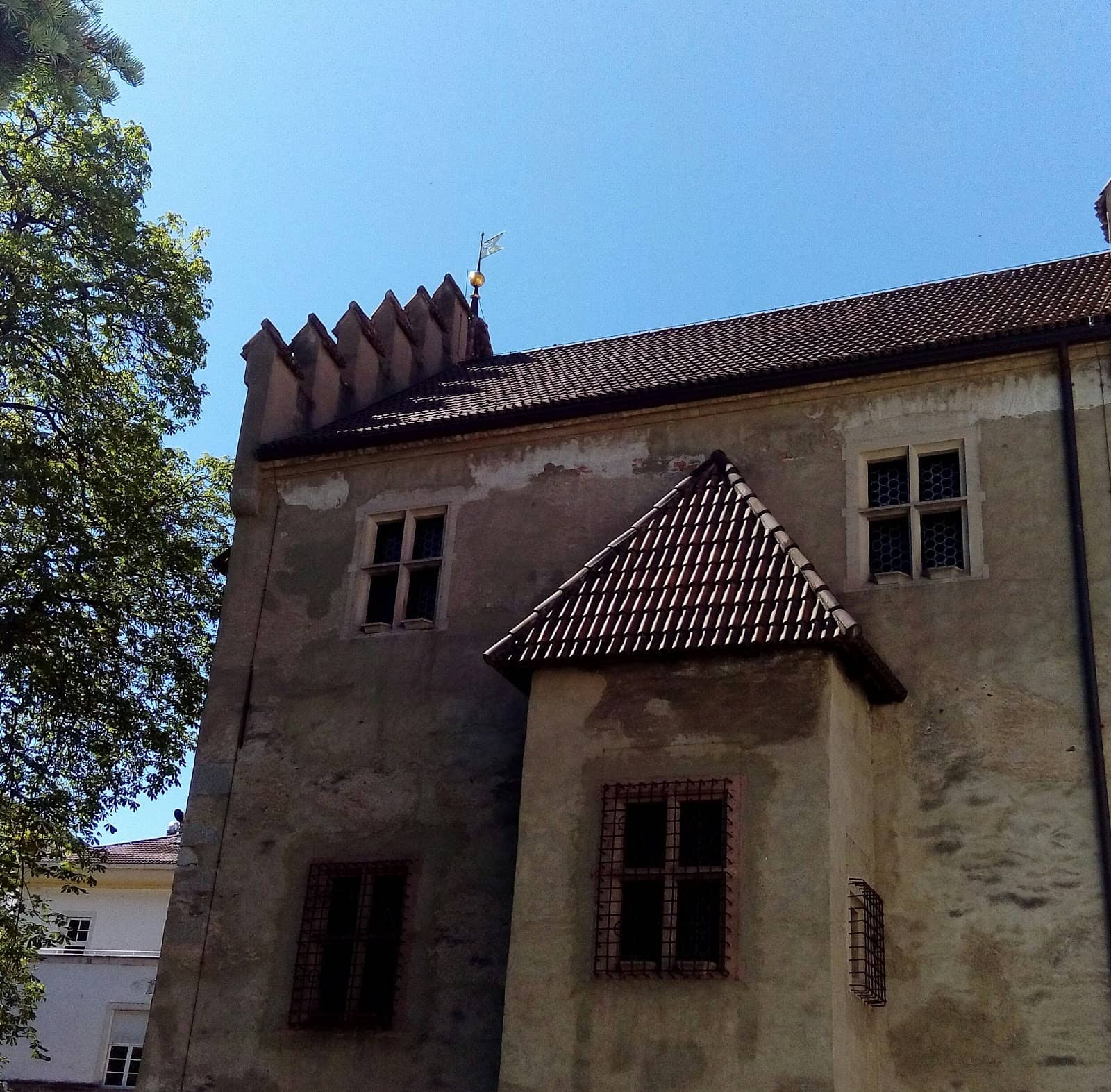 Vertical photo