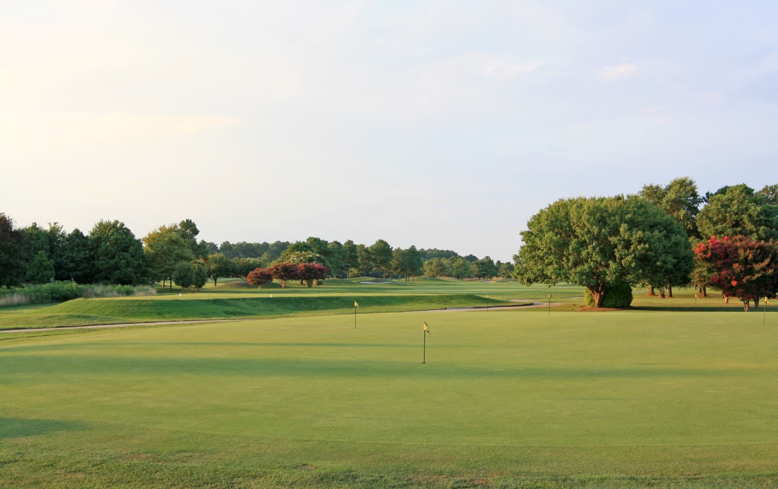 Eagles Landing Golf Course - Image 1