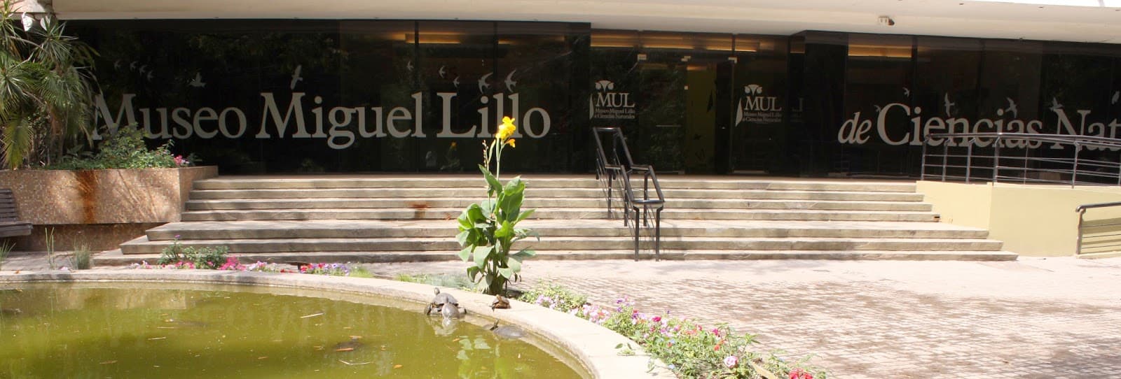 Museo Miguel Lillo de Ciencias Naturales - Image 1