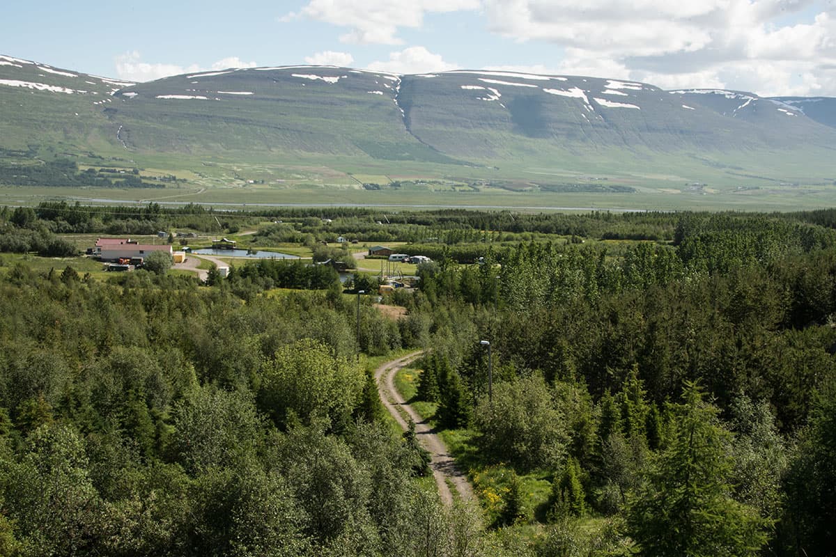 Kjarnaskógur Forest Akureyri - Image 1