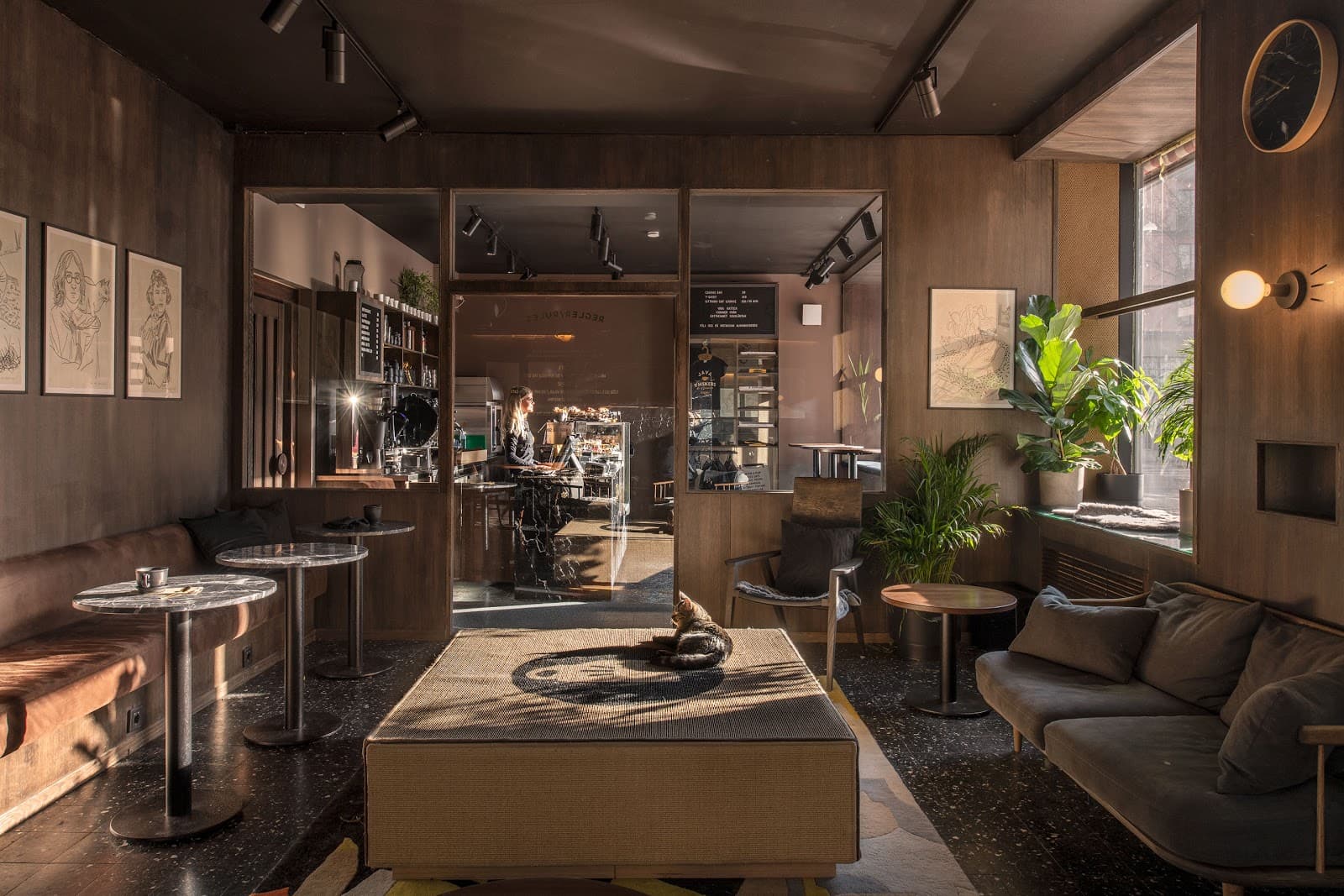 Java Whiskers - Image 1