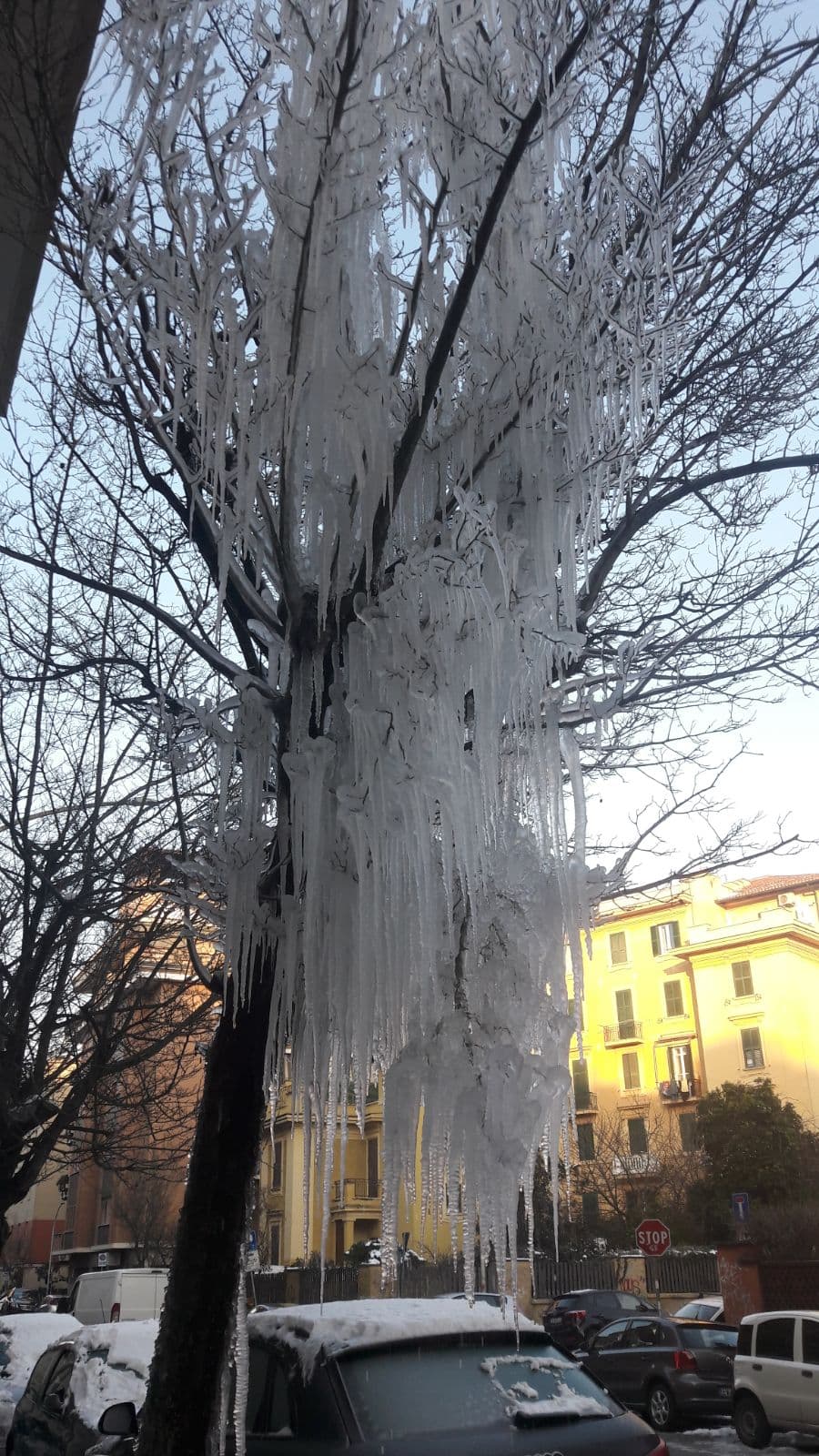 Montepulciano - Image 1