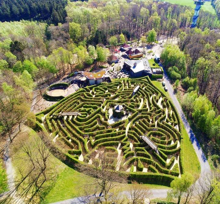 Observation Tower Views