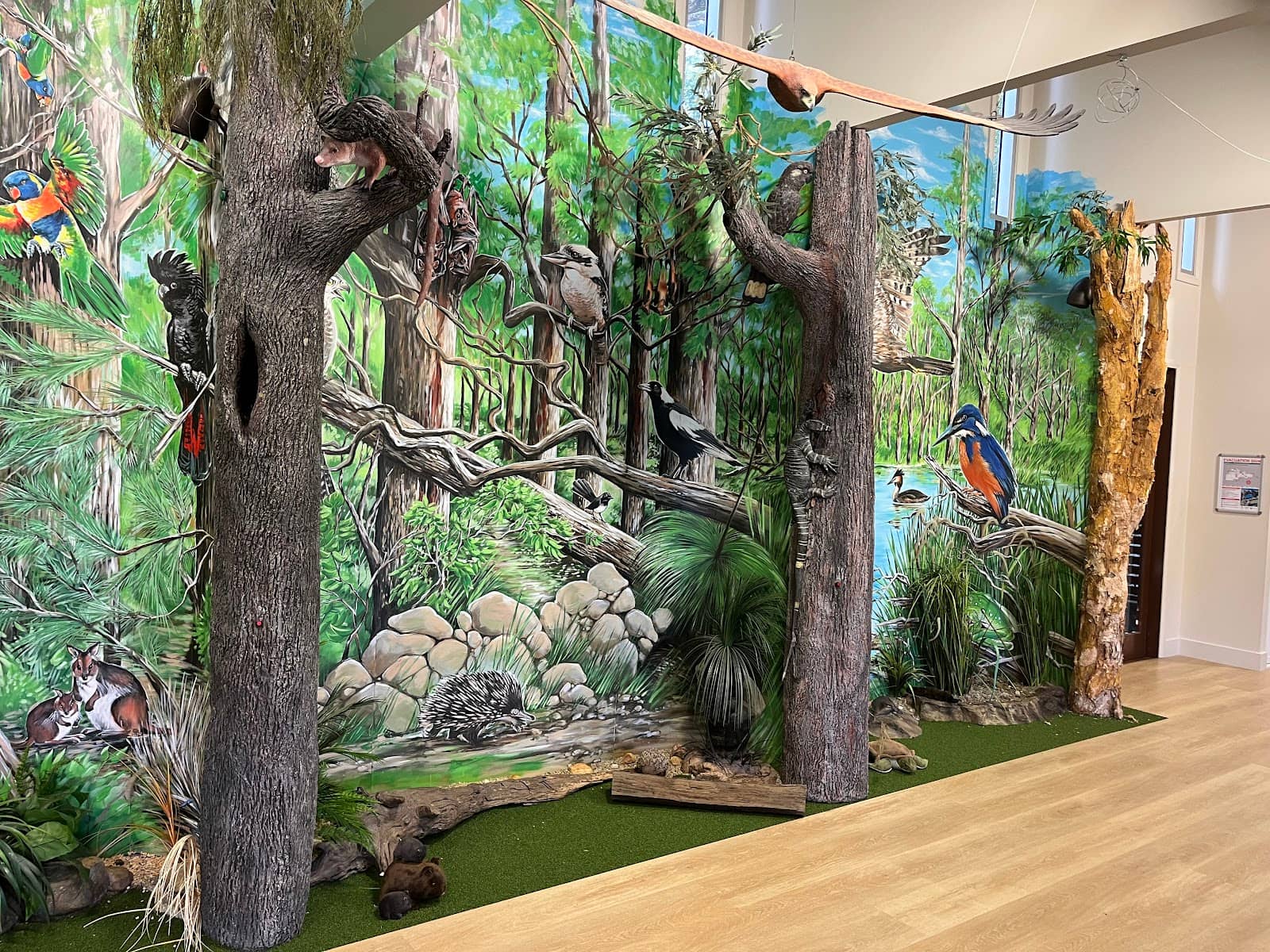 Reading Time & Animal Encounters