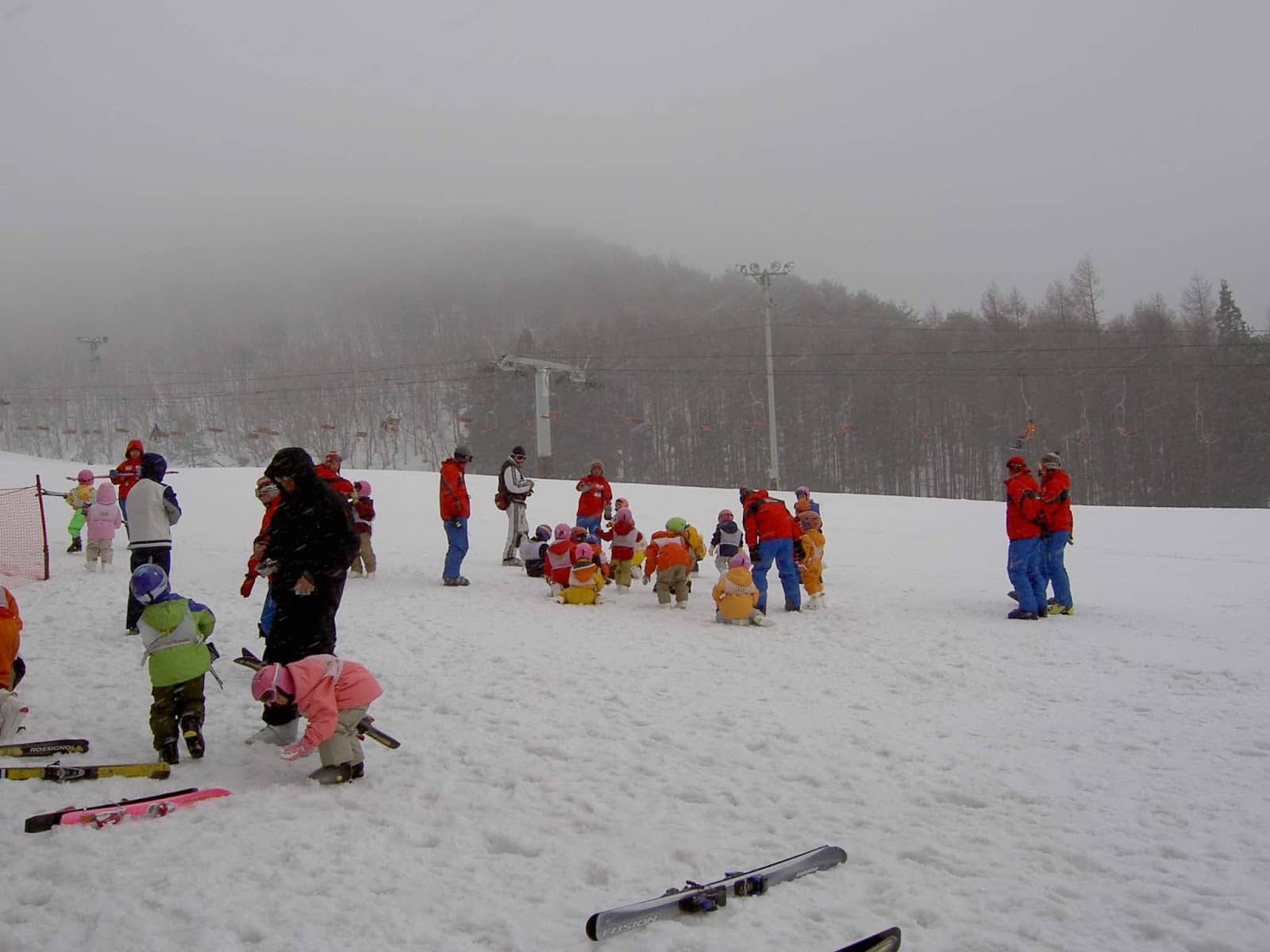 All-Skill-Level Slopes