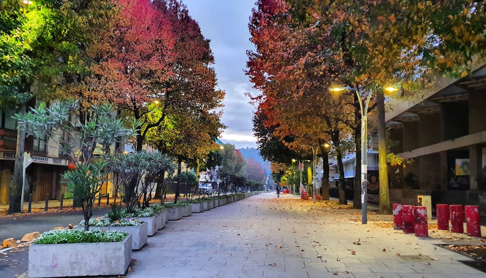 Bustling Street Life