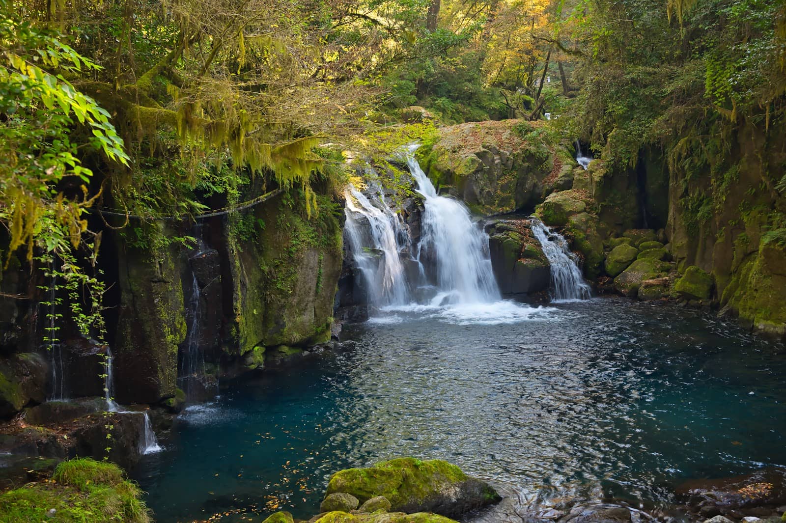 Vertical photo