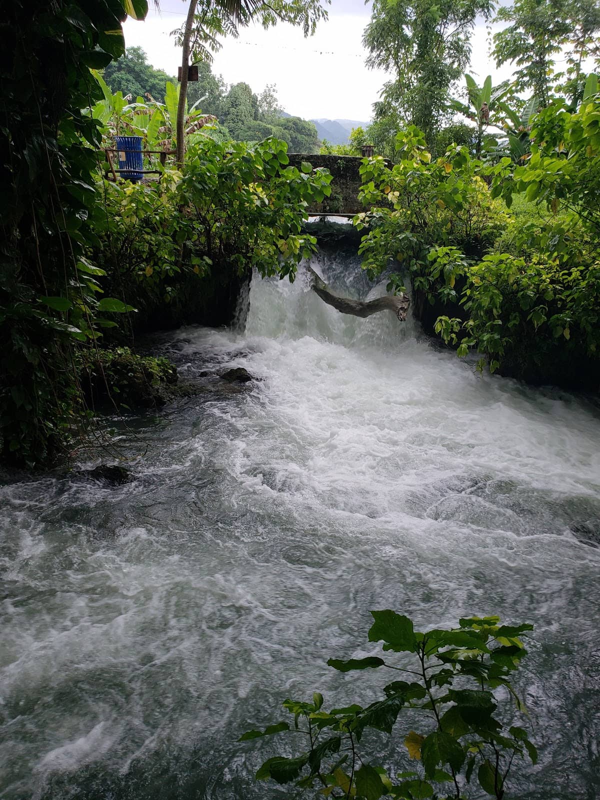 Roaring River Cave