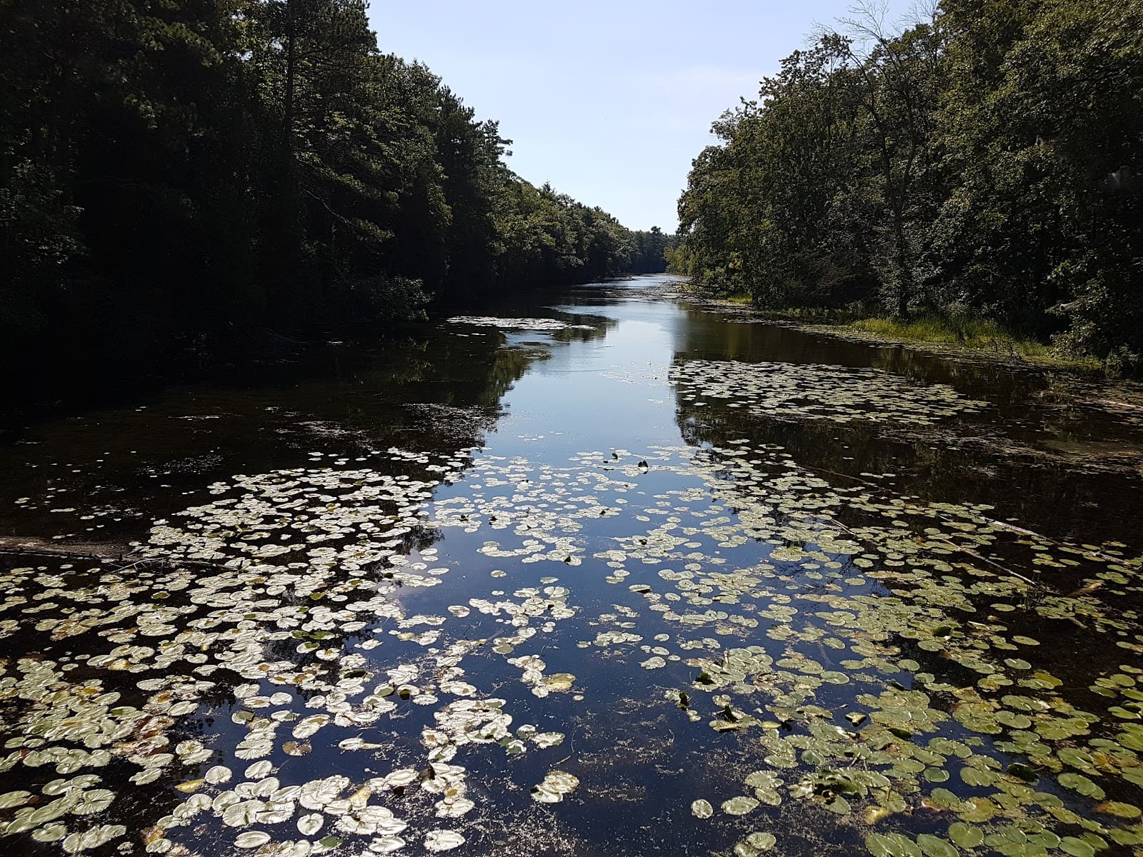 Old Ausable Channel - Image 1